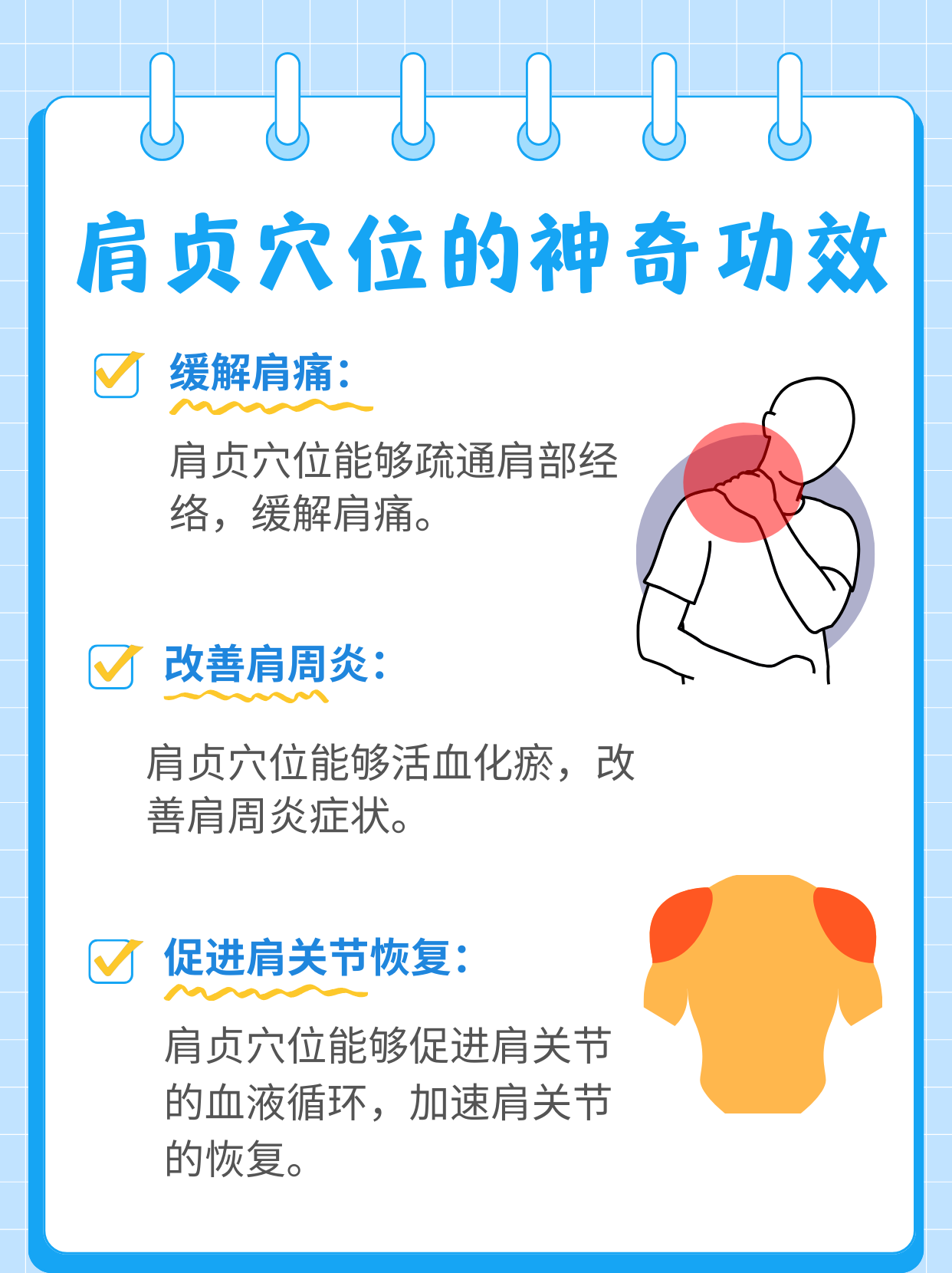 肩贞穴的位置